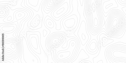 Minimal Lines Topographic contour lines grid map seamless pattern. Minimal Lines Topographic contour lines grid map seamless pattern. Background of the topography map with lines.