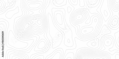 Minimal Lines Topographic contour lines grid map seamless pattern. Minimal Lines Topographic contour lines grid map seamless pattern. Background of the topography map with lines.