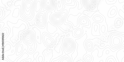 Minimal Lines Topographic contour lines grid map seamless pattern. Minimal Lines Topographic contour lines grid map seamless pattern. Background of the topography map with lines.