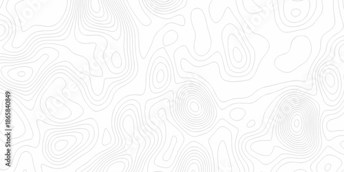 Minimal Lines Topographic contour lines grid map seamless pattern. Minimal Lines Topographic contour lines grid map seamless pattern. Background of the topography map with lines.