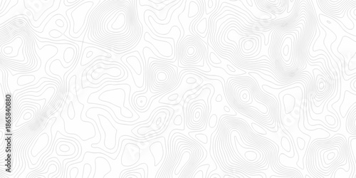 Minimal Lines Topographic contour lines grid map seamless pattern. Minimal Lines Topographic contour lines grid map seamless pattern. Background of the topography map with lines.