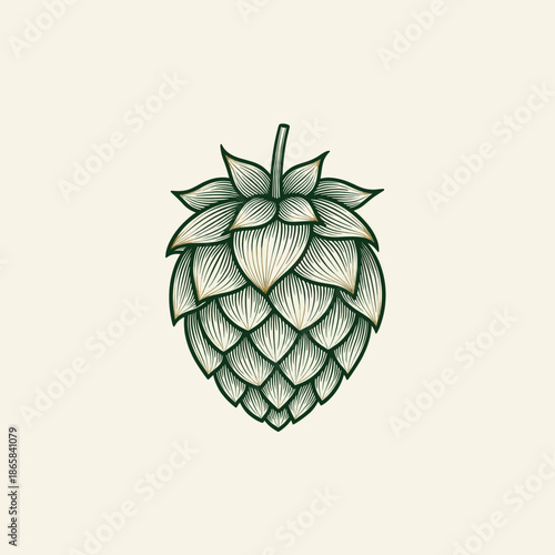 Detailed illustration of a single hop cone with intricate scales and a small stem, rendered in shades of green on a light background.