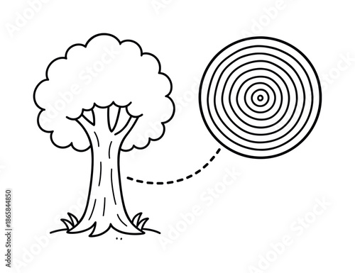 Tree Rings Coloring Fun. Tree trunk and rings inside children?s coloring book illustration, outlined drawing, whole standing tree on one side and a zoomed-in