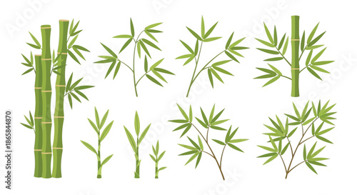 A detailed illustration showcases several stalks of vibrant green bamboo plants