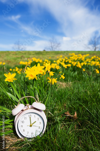 Fotografie Alarm clock with daffodils flowers and blue sky, switch to daylight saving time