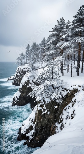 Snowy Coastal Cliffs - A Winter Wonderland by the Sea.