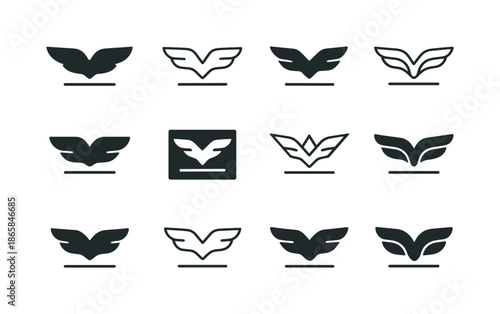 Gliding Logo Variations. gliding. Icon set. Set Logo of gliding: horizon line and wings. harmonious logo variations of the same emblematic concept, each with