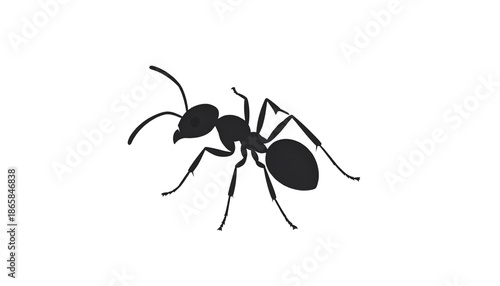 Minimal flat illustration of an ant with simple shapes and smooth curves, modern vector style, monochrome palette, isolated on transparent background