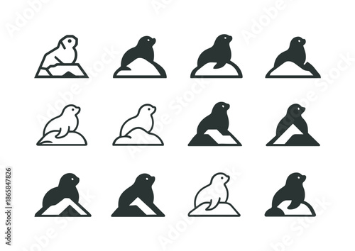 Arctic Seal Logos. Arctic. Icon set. Set Logo of Arctic: seal resting on snow mound. harmonious logo variations of the same emblematic concept, each with