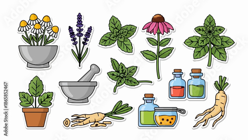 Assorted medicinal herbs, roots, and tinctures in a collection of illustrations