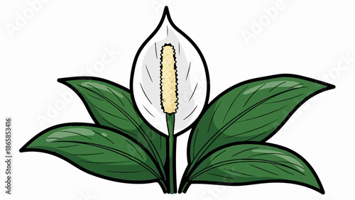 A stylized illustration of a peace lily with vibrant green leaves and a white spathe