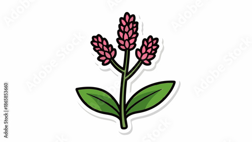 A stylized illustration of a plant with green leaves and three pink flower spikes