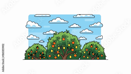 A stylized illustration of citrus trees laden with fruit under a cloudy sky