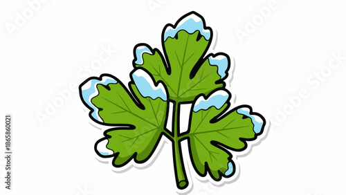 Green leaf with delicate touches of frost