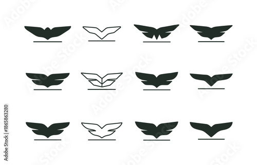 Gliding Logo Variations. gliding. Icon set. Set Logo of gliding: horizon line and wings. harmonious logo variations of the same emblematic concept, each with