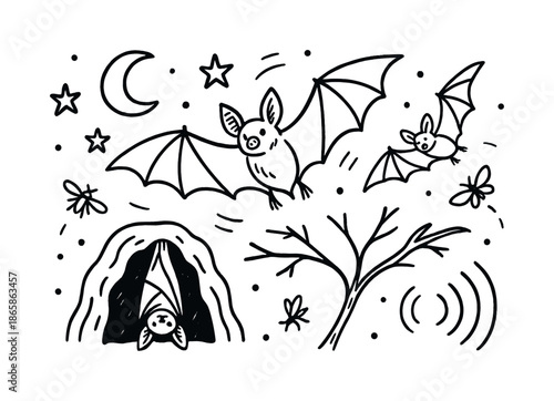 Bats in Night Flight. Flying mammals. Hand-drawn doodle illustration Flying mammals bat outline, wing membranes, moon symbol, stars, motion lines, cave shapes,