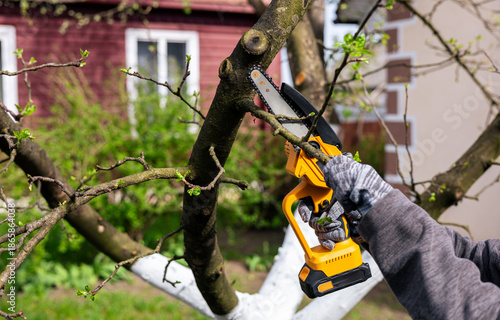 Foto A gardener trims tree branches with a lithium battery-powered hand-held chainsaw