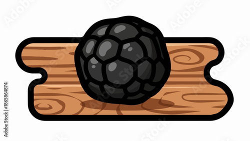A dark, segmented, spherical object rests on a textured wooden plank