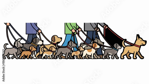 Diverse group of people walking a variety of dogs on leashes