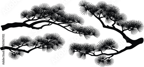 Japanese pine tree branch silhouette collection, stylized evergreen needles, black bonsai nature element, Asian ink painting style, isolated vector set