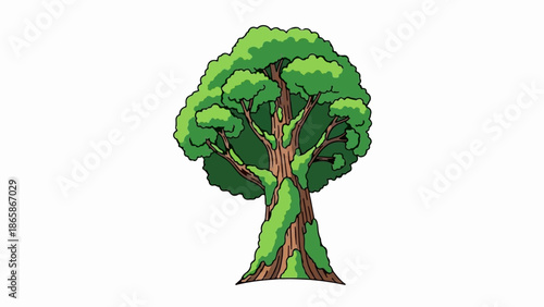 A large, leafy tree with mossy branches and a thick, textured trunk