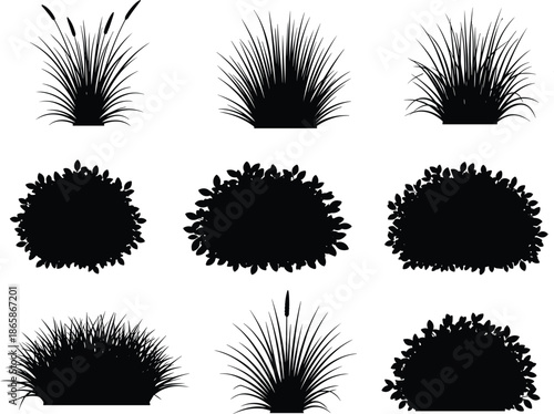 Set of nine black plant silhouettes, grass, bush, shrub, reeds, nature icons for landscape architecture, cad drawing flat vector illustration.