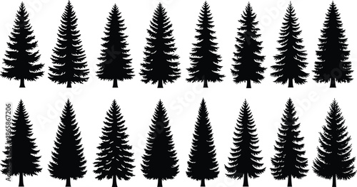Set of sixteen black pine tree silhouettes, detailed evergreen fir spruce vector icons, isolated forest nature elements