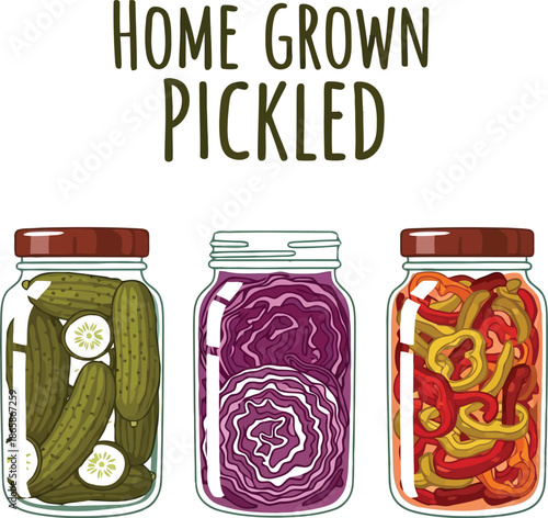 Home grown pickled vegetables in mason jars cucumbers red cabbage mixed peppers food preservation vector