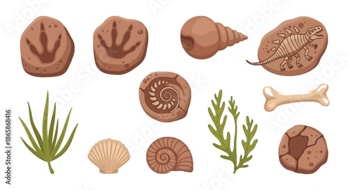 Fossilized remains ancient creatures and prehistoric plant life illustration