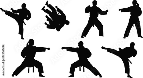 Silhouette vector set of 6 Martial Arts poses karate kick judo throw kung fu stance and taekwondo punch
