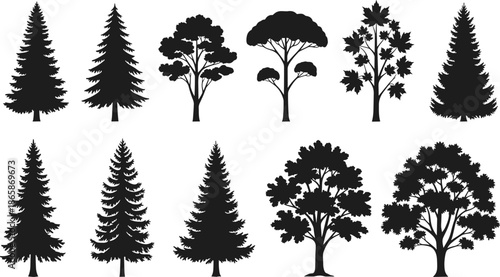 Set of ten mixed forest tree silhouettes, evergreen pine, fir, and deciduous oak, isolated black vector nature icons for landscape design