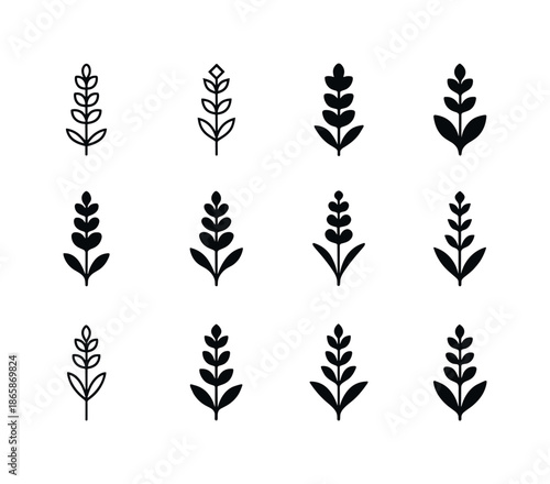 Natural Haircare Icons. Natural Haircare Ingredients. Icon set. Set Logo of Natural Haircare Ingredients: lavender flower. harmonious logo variations of the