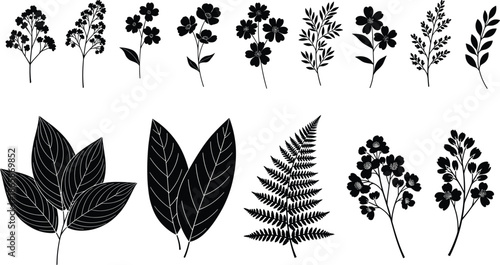 Wildflower and leaf silhouette set, black botanical plants, fern frond, blooming branch, nature foliage collection, isolated vector illustration element