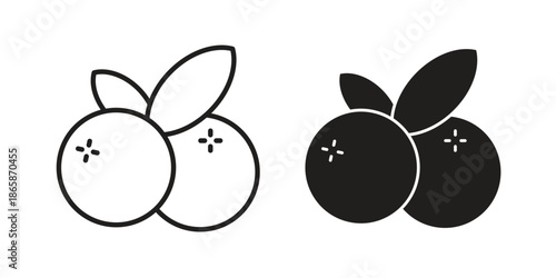 Blueberry icons set designed in filled, outline, line and stroke style