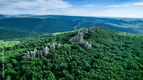 Bild auf Leinwand Aerial View of Rock Formations in Forest Landscape