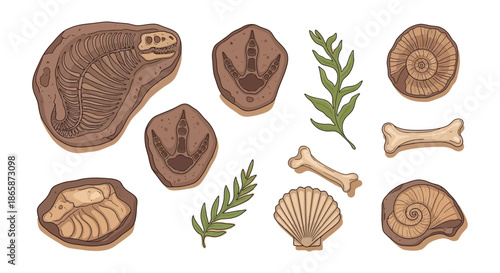 Fossilized remains ancient creatures and prehistoric plant life illustration