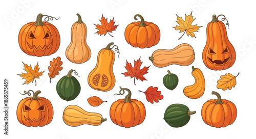 Autumn harvest illustration featuring pumpkins gourds and colorful fall maple leaves