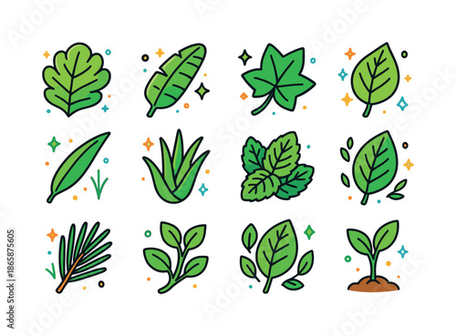 Colorful Foliage Icons. Foliage. Colorful isometric vector icons set of Foliage: lush leaf, banana leaf, ivy leaf, birch leaf, willow leaf, aloe leaf, mint