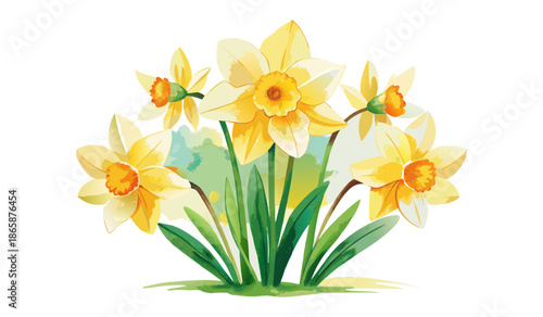 Vibrant yellow daffodils with green stems and leaves