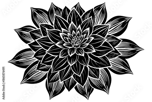 A close up of a black and white cat with green eyes