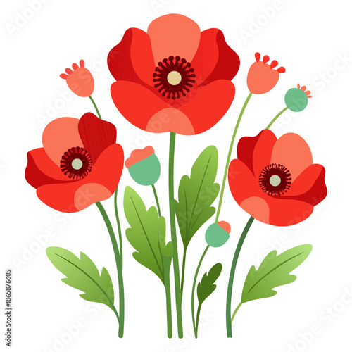 Vibrant red poppies with green leaves and buds on black background