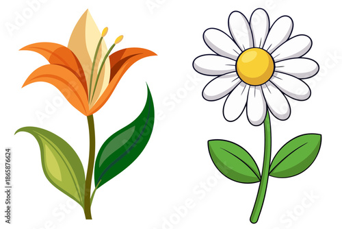 Two cartoon flowers one orange lily and one white daisy