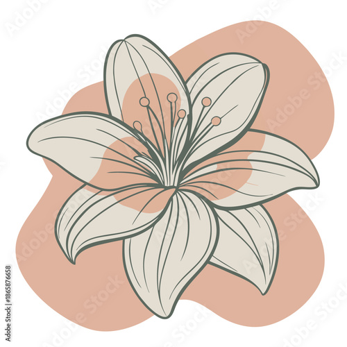 Minimalist line art lily flower with abstract shapes