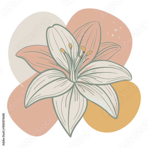 Minimalist line art lily flower with abstract shapes