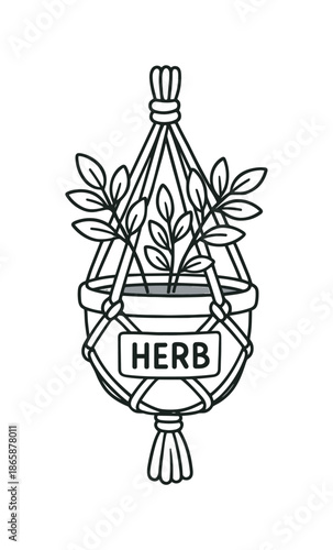 Herb Planter Coloring. Herb planter in macrame children?s coloring book illustration, outlined drawing, a small herb plant held in a simple knotted sling,