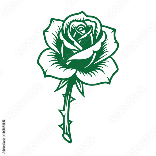 green rose illustration with thorns on stem and white petals  floral design element