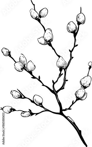 Delicately drooping foliage adorns the minimalist line art silhouette of a single willow branch, exemplifying elegant simplicity