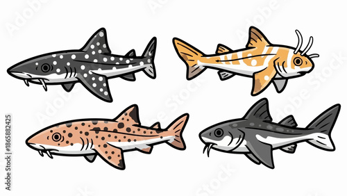 Four cartoon sharks, varying in color and pattern, displayed against a white background