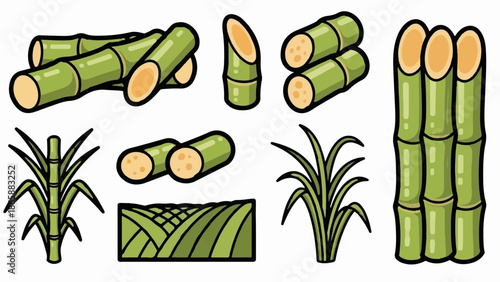 Collection of stylized green sugarcane plants and stalks, showing cultivation