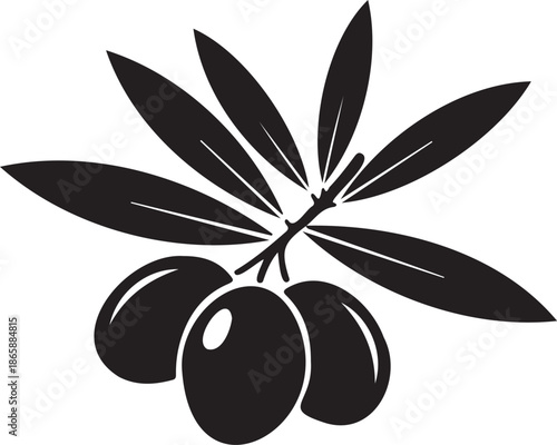 Black Olive Branch with Olives Vector Illustration